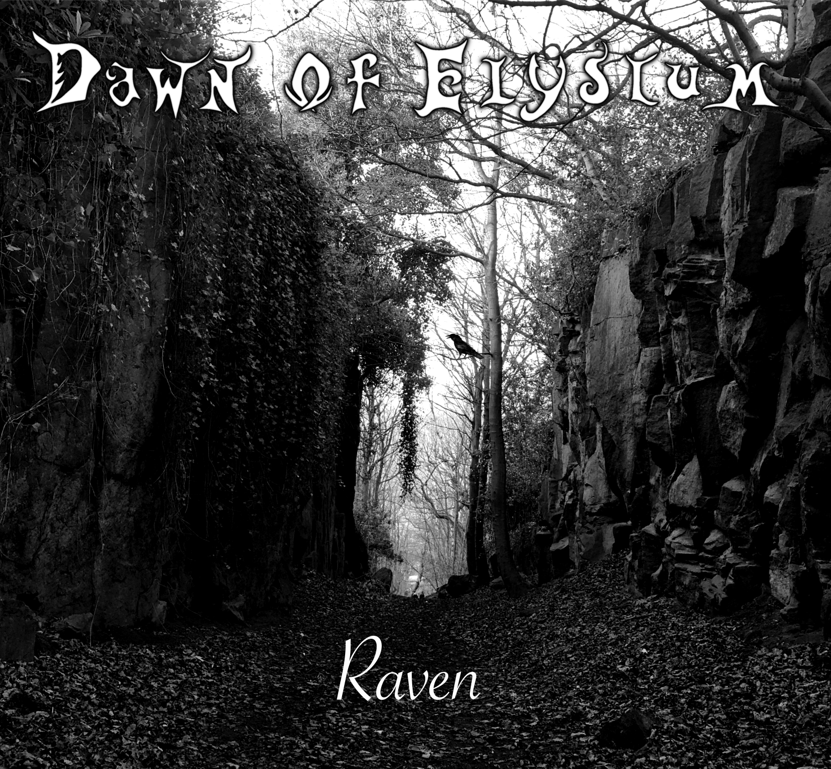 Raven cover art